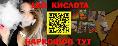 ешки Долгопрудный